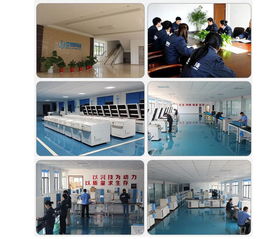 新一代高频红外碳硫分析仪 厂家直销，精准高效